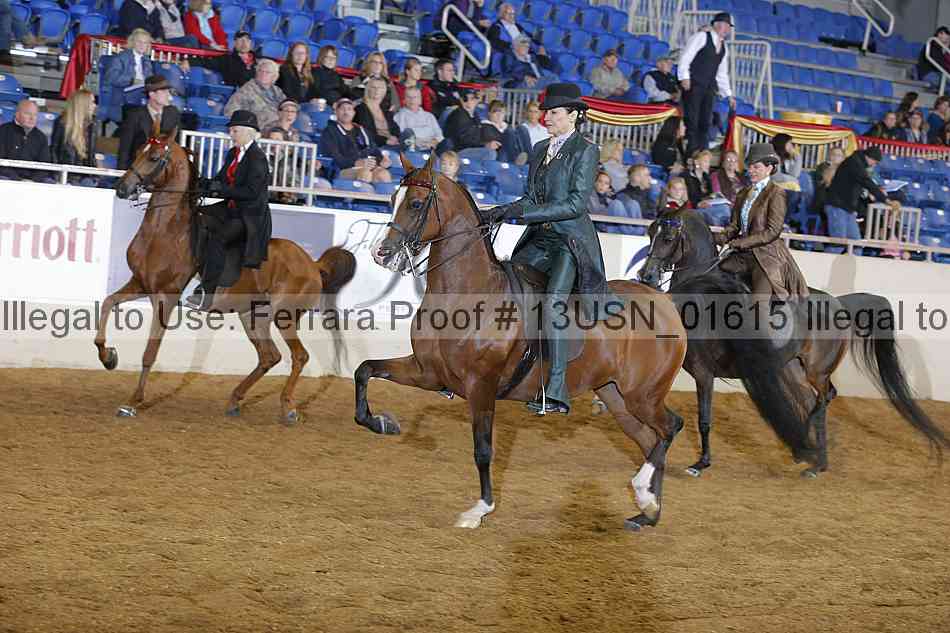 Proof 13usn_01615