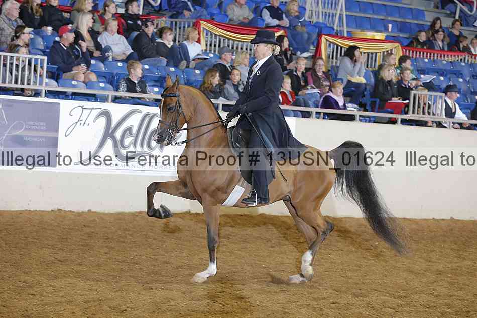 Proof 13usn_01624