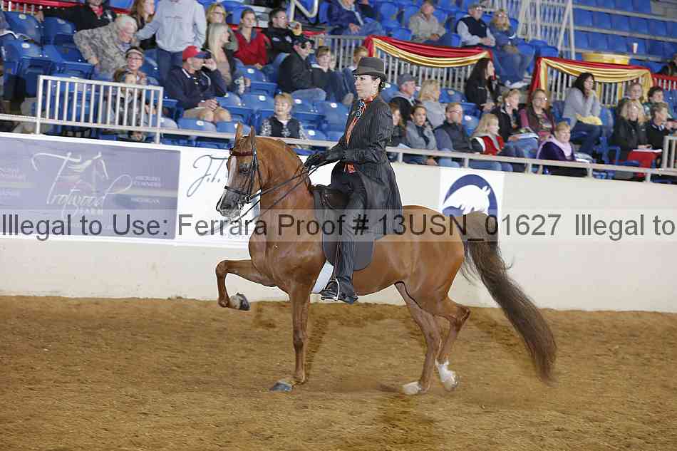 Proof 13usn_01627
