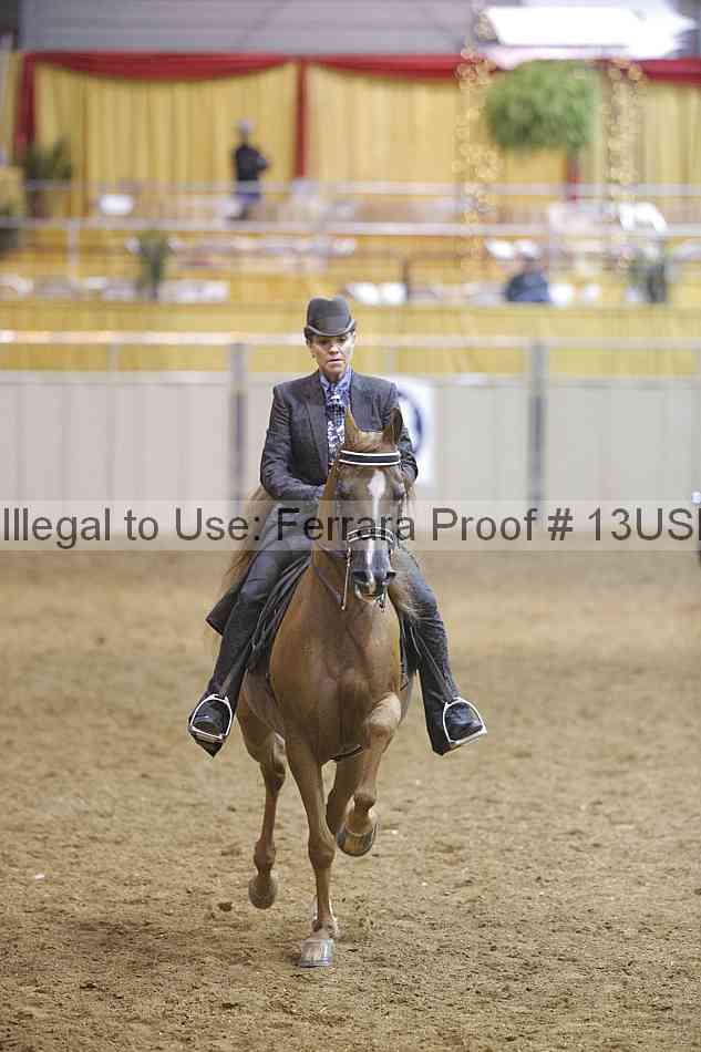 Proof 13usn_01630
