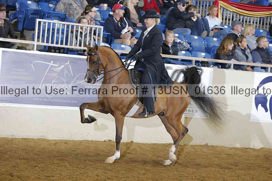 Proof 13usn_01636