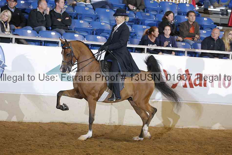 Proof 13usn_01637