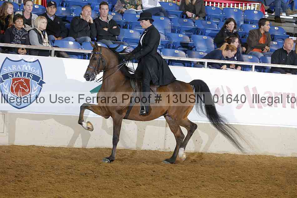 Proof 13usn_01640
