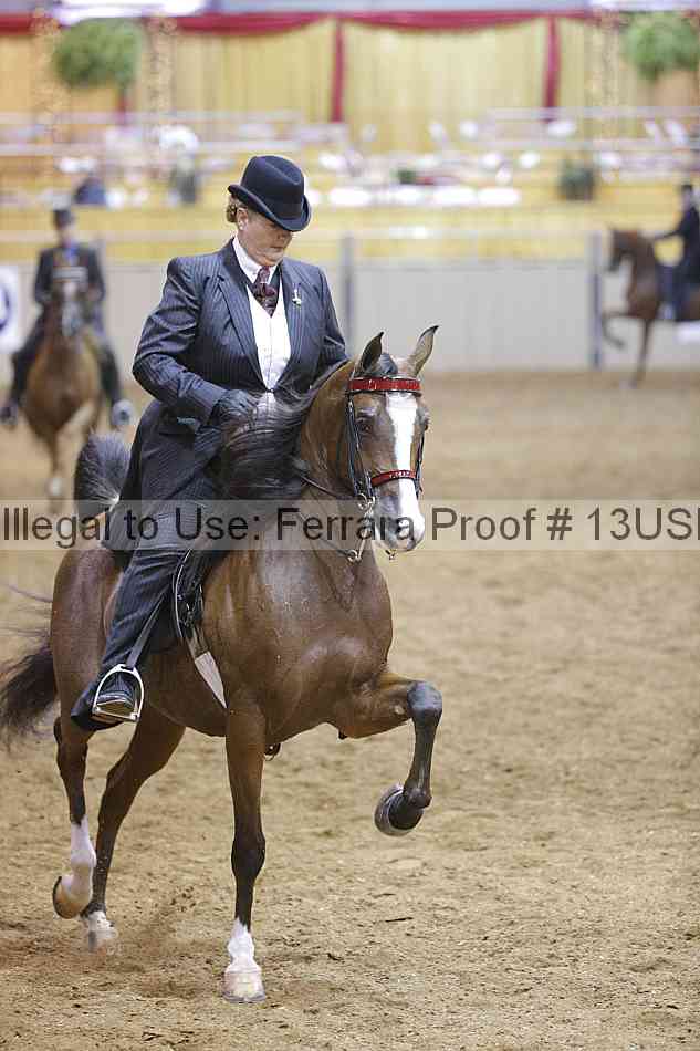 Proof 13usn_01641