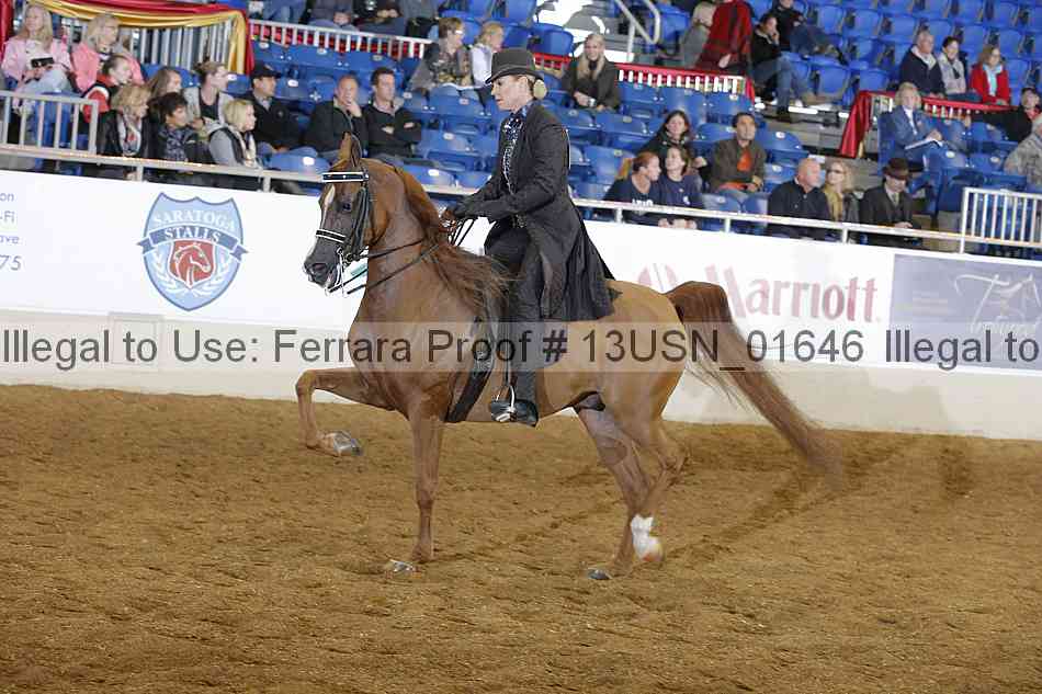 Proof 13usn_01646