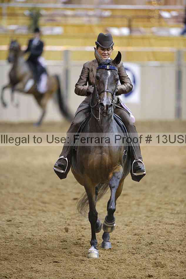 Proof 13usn_01657