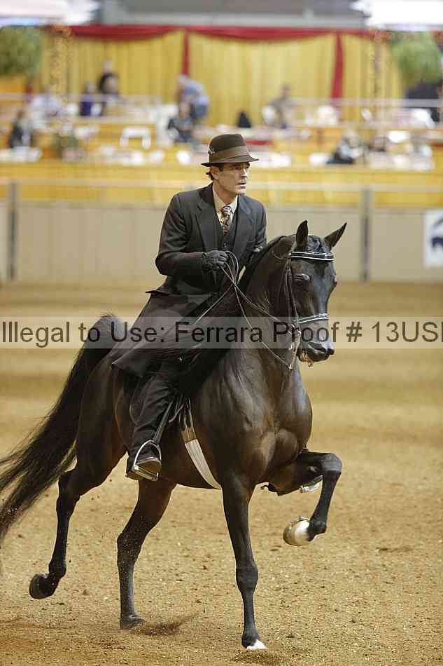 Proof 13usn_27444