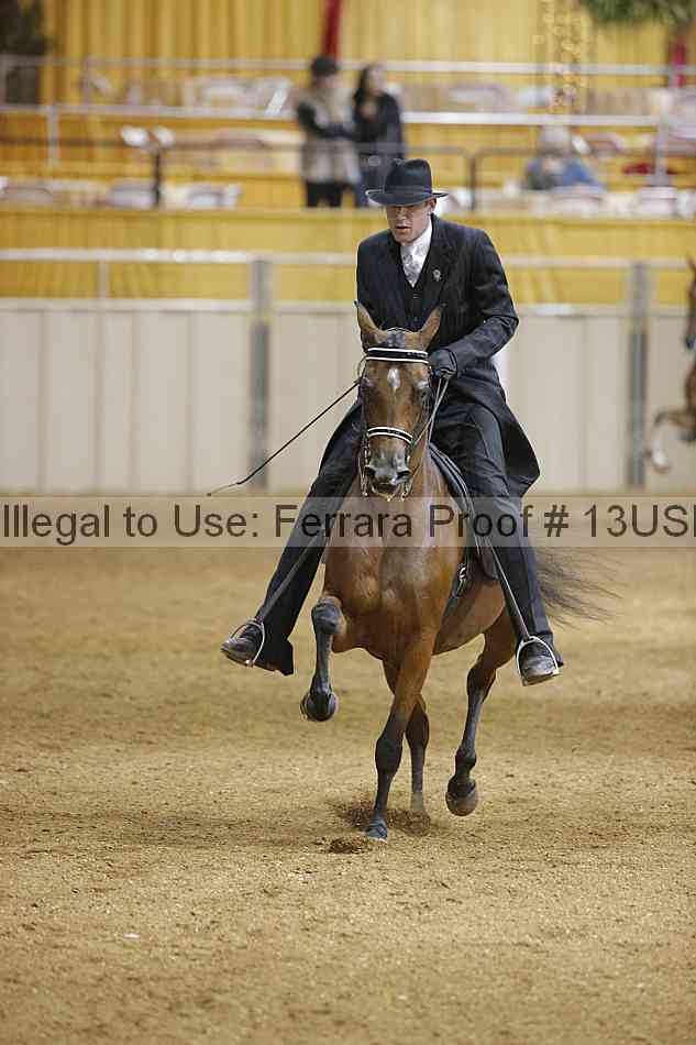 Proof 13usn_27469
