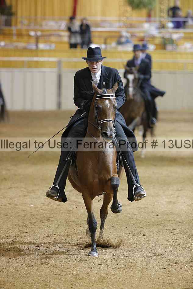 Proof 13usn_27470