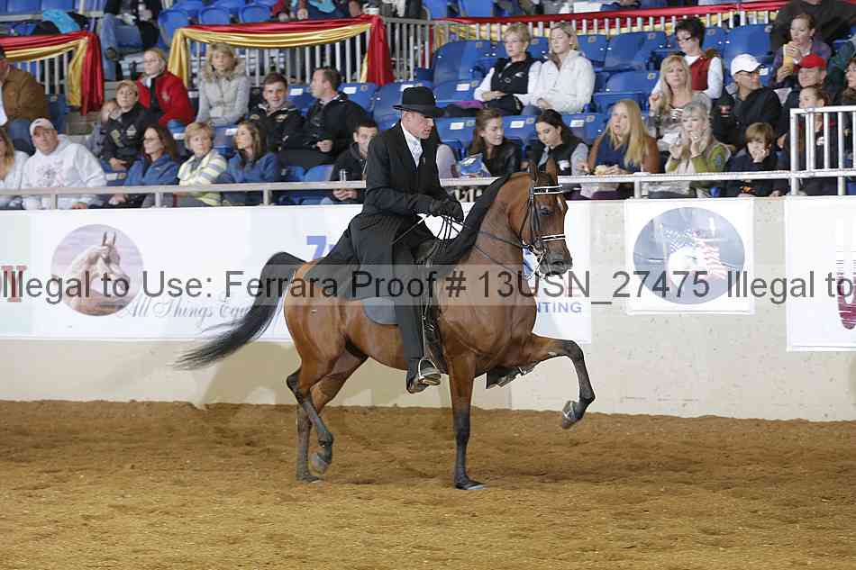 Proof 13usn_27475