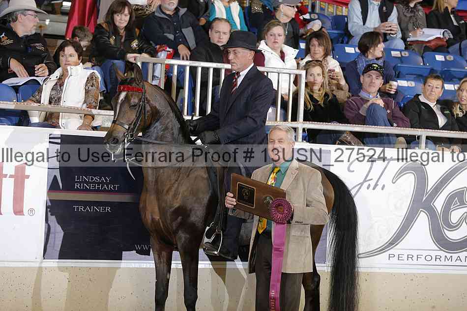 Proof 13usn_27524