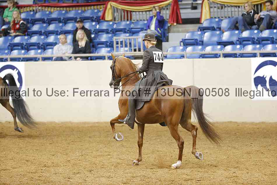 Proof 13usn_00508