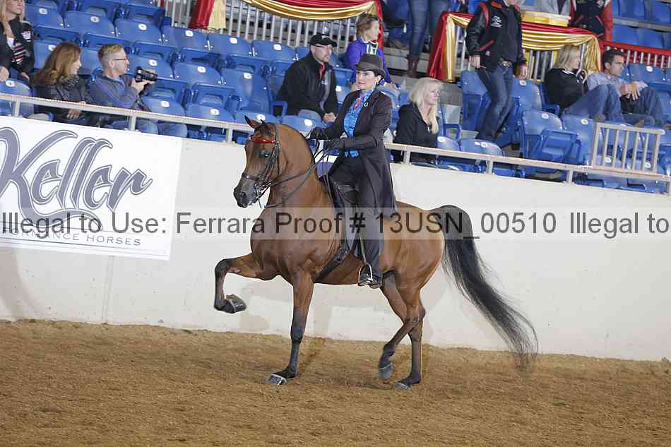 Proof 13usn_00510