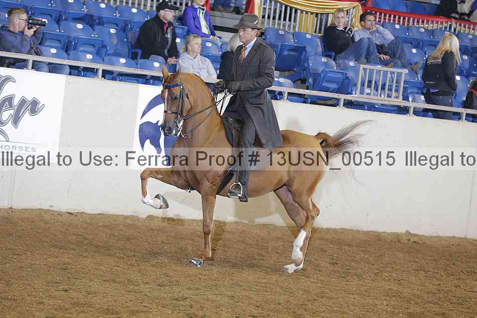 Proof 13usn_00515