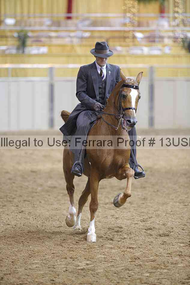 Proof 13usn_00516