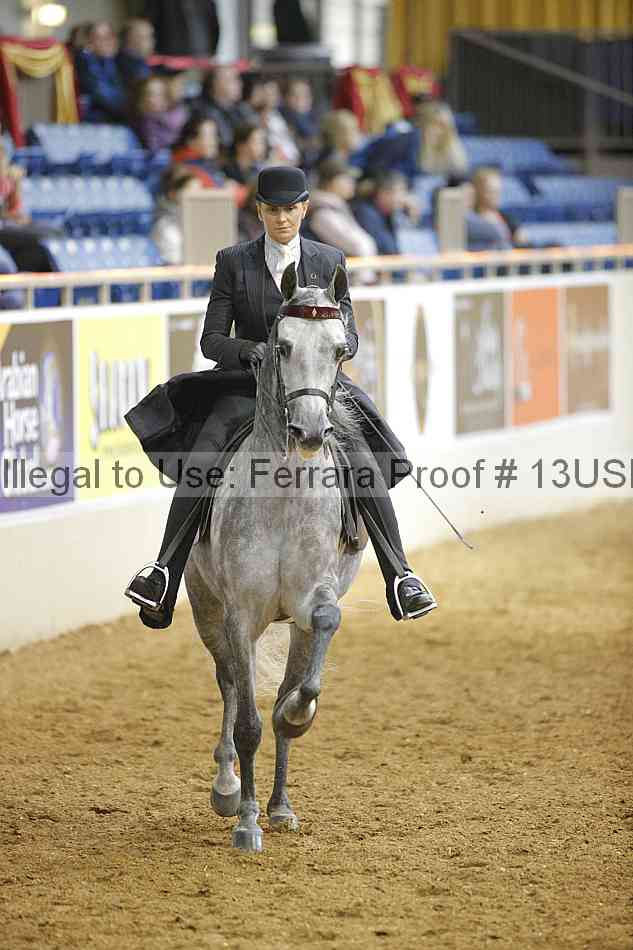 Proof 13usn_00523