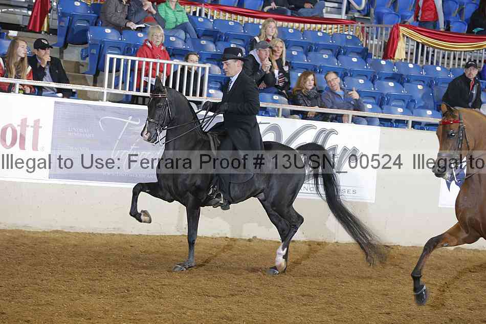 Proof 13usn_00524