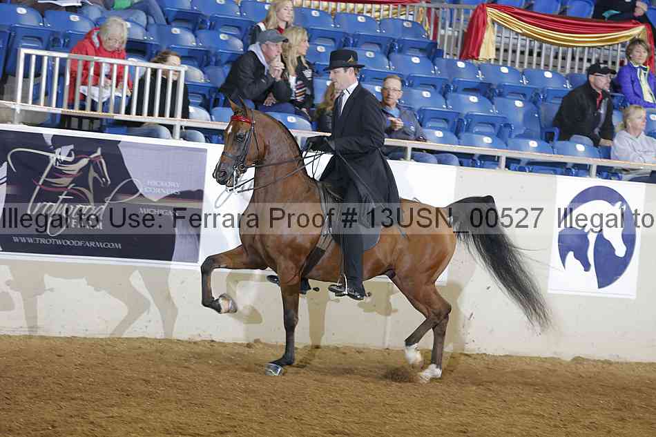 Proof 13usn_00527