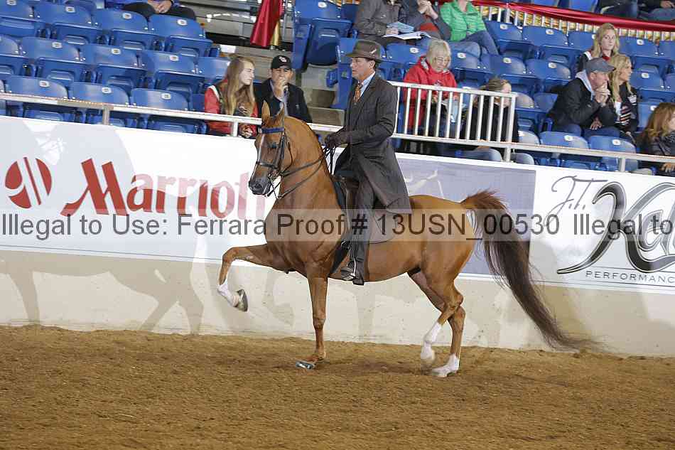 Proof 13usn_00530