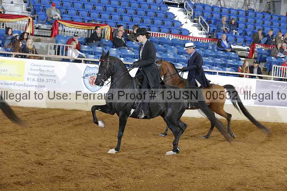 Proof 13usn_00532