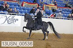 13usn_00536 proof