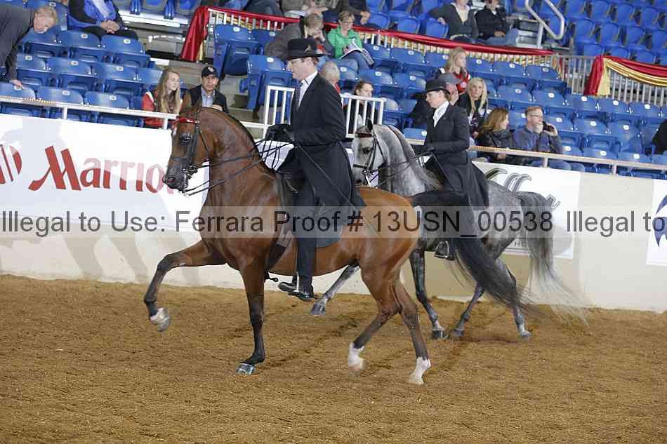 Proof 13usn_00538