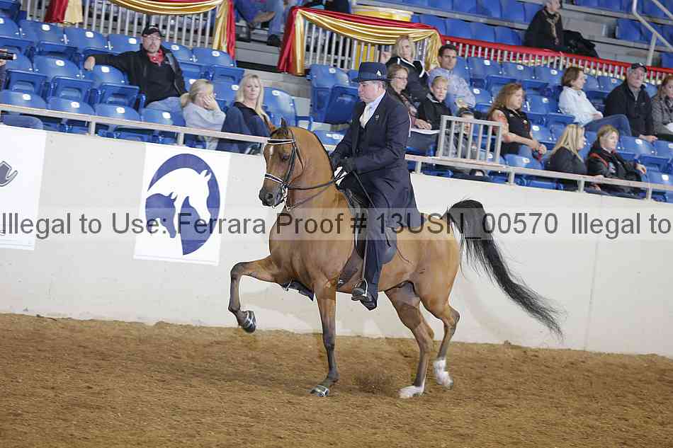 Proof 13usn_00570