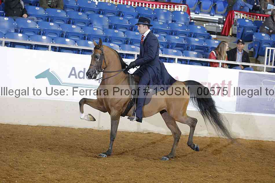 Proof 13usn_00575