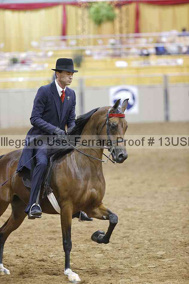 Proof 13usn_00585