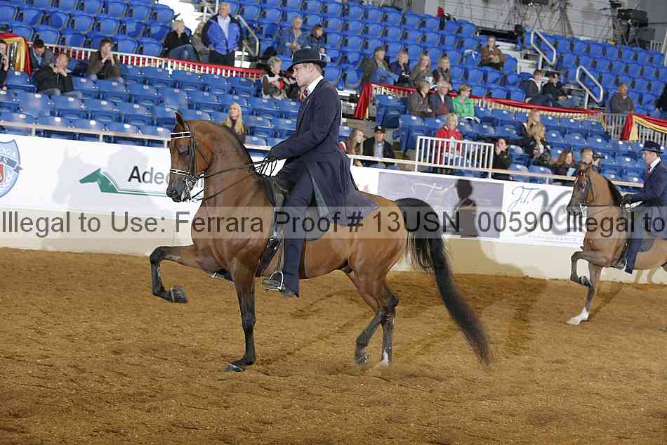 Proof 13usn_00590
