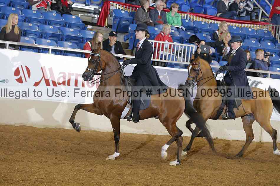 Proof 13usn_00595