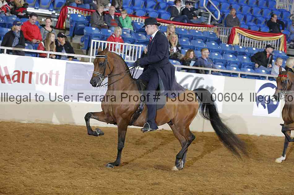 Proof 13usn_00604