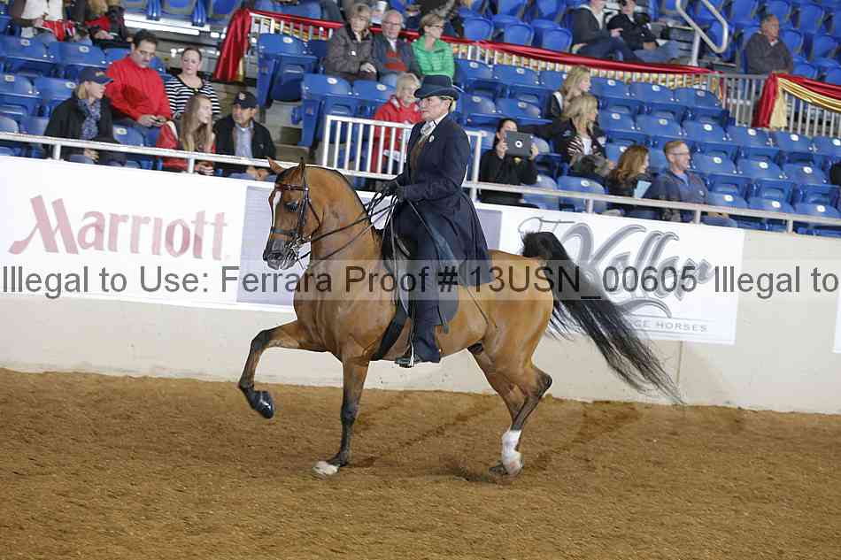 Proof 13usn_00605