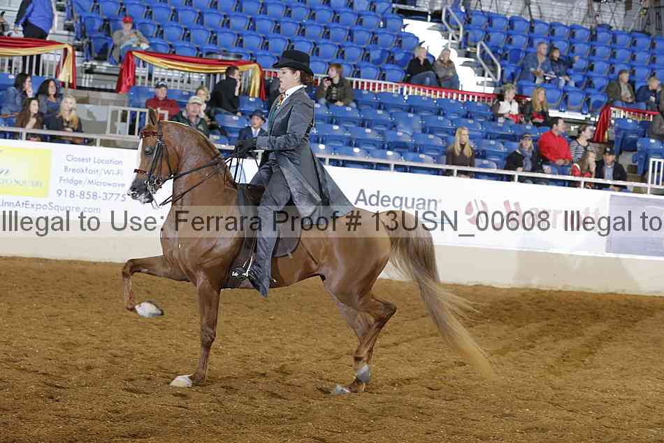 Proof 13usn_00608