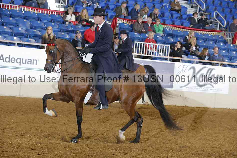 Proof 13usn_00611