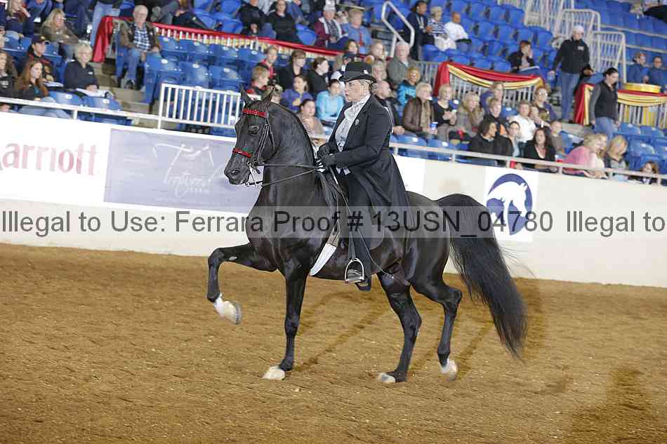 Proof 13usn_04780