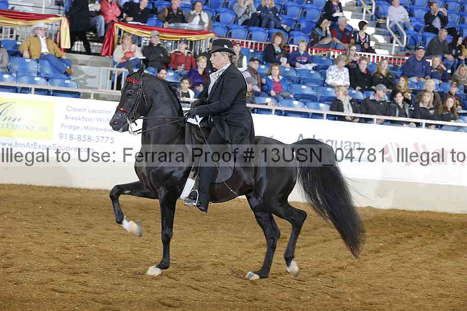 Proof 13usn_04781