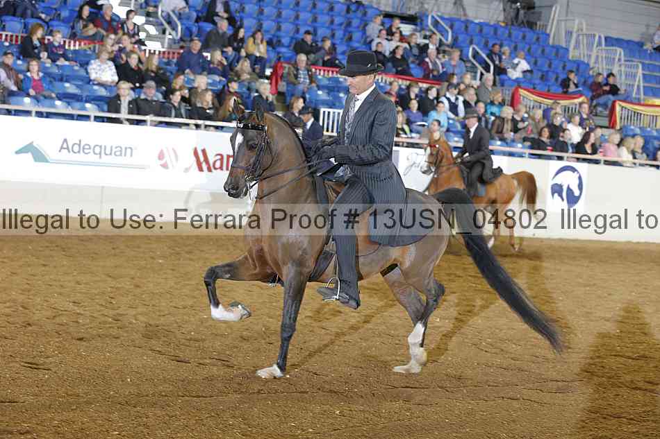 Proof 13usn_04802