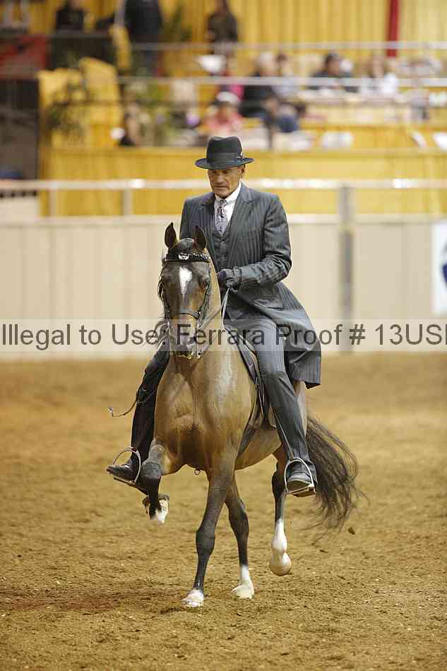 Proof 13usn_04808
