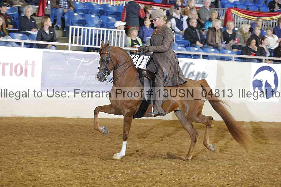 Proof 13usn_04813