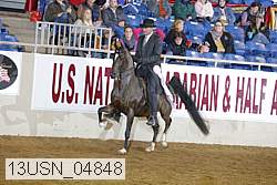 13usn_04848 proof