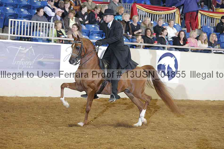 Proof 13usn_04855