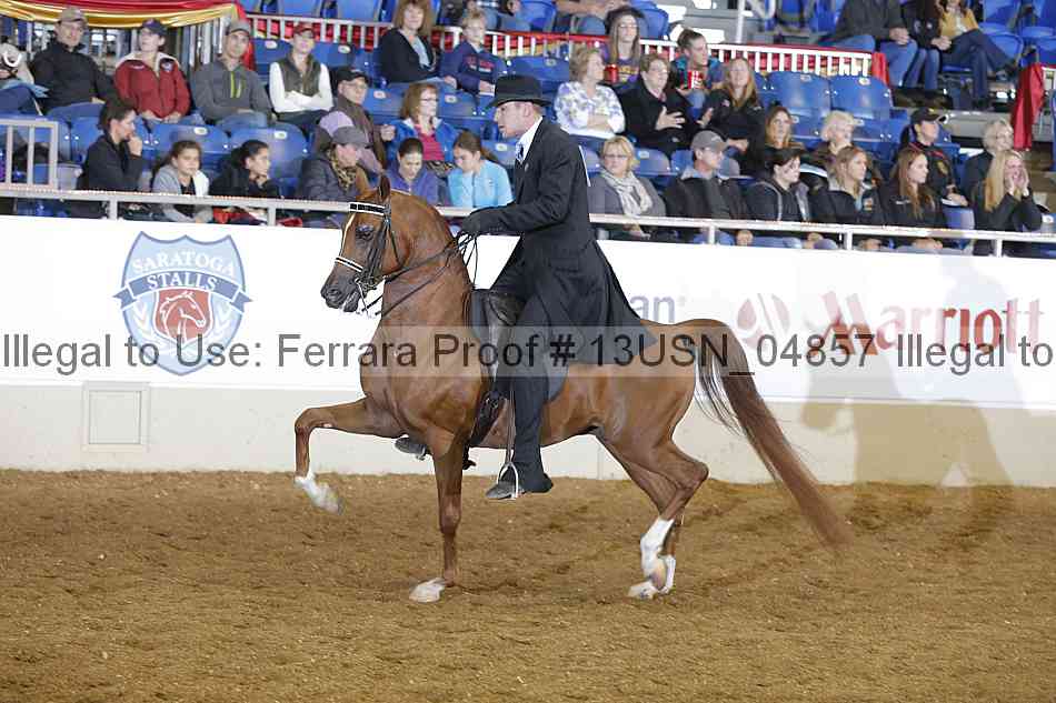Proof 13usn_04857