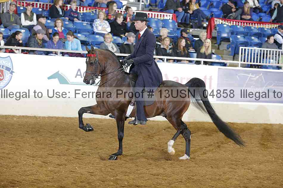 Proof 13usn_04858
