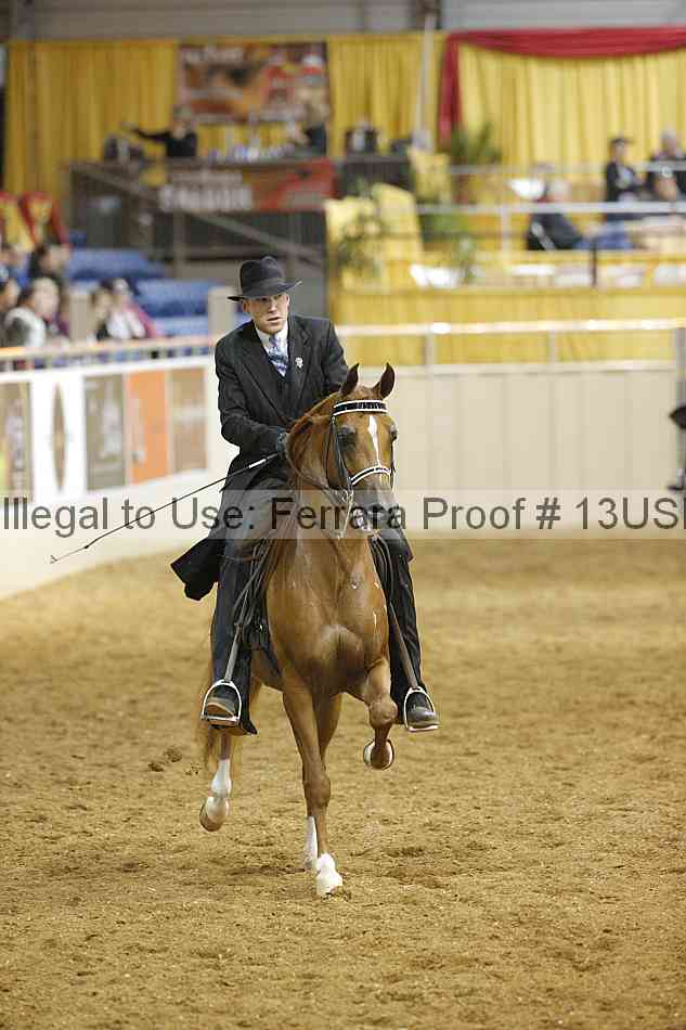 Proof 13usn_04869