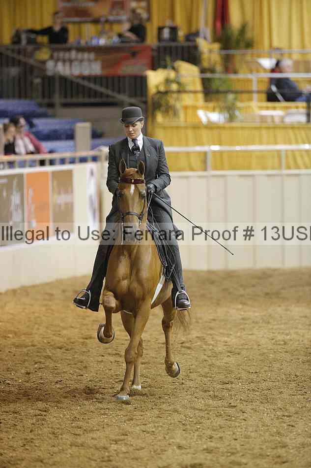 Proof 13usn_04871