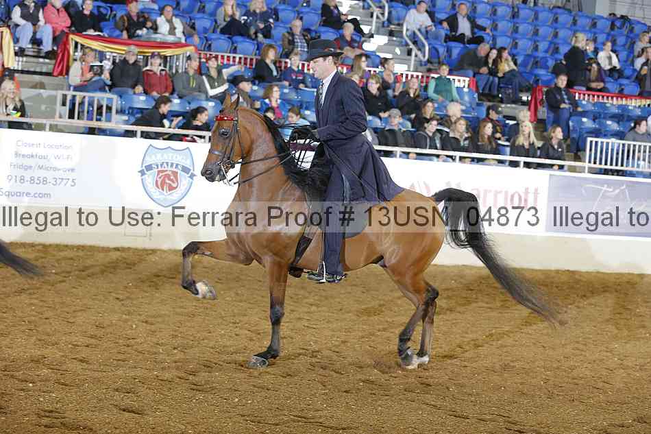 Proof 13usn_04873