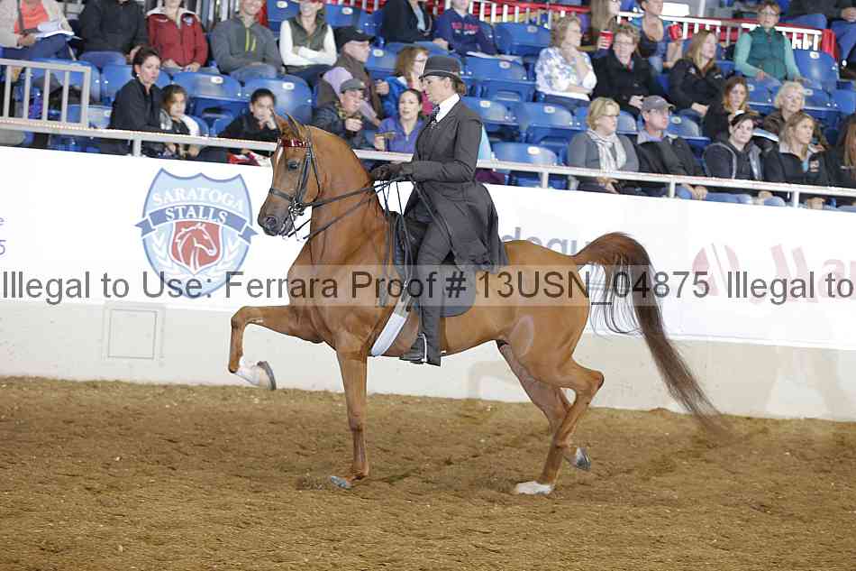 Proof 13usn_04875