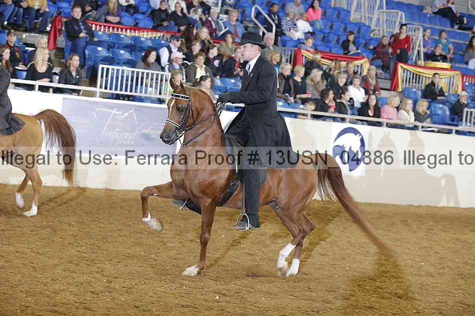 Proof 13usn_04886