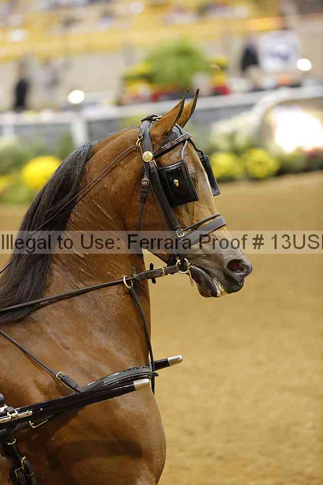 Proof 13usn_09884